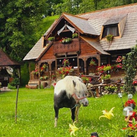 Pensiunea Rustic Oncesti Exteriör bild