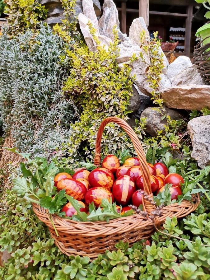 Pensiunea Rustic Oncesti Exteriör bild