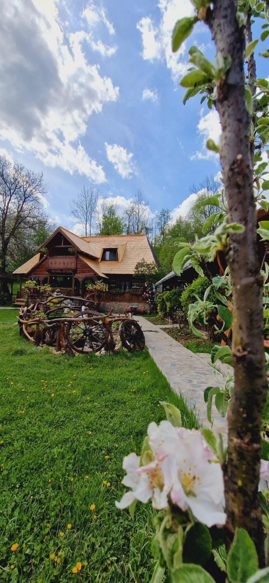 Pensiunea Rustic Oncesti Exteriör bild