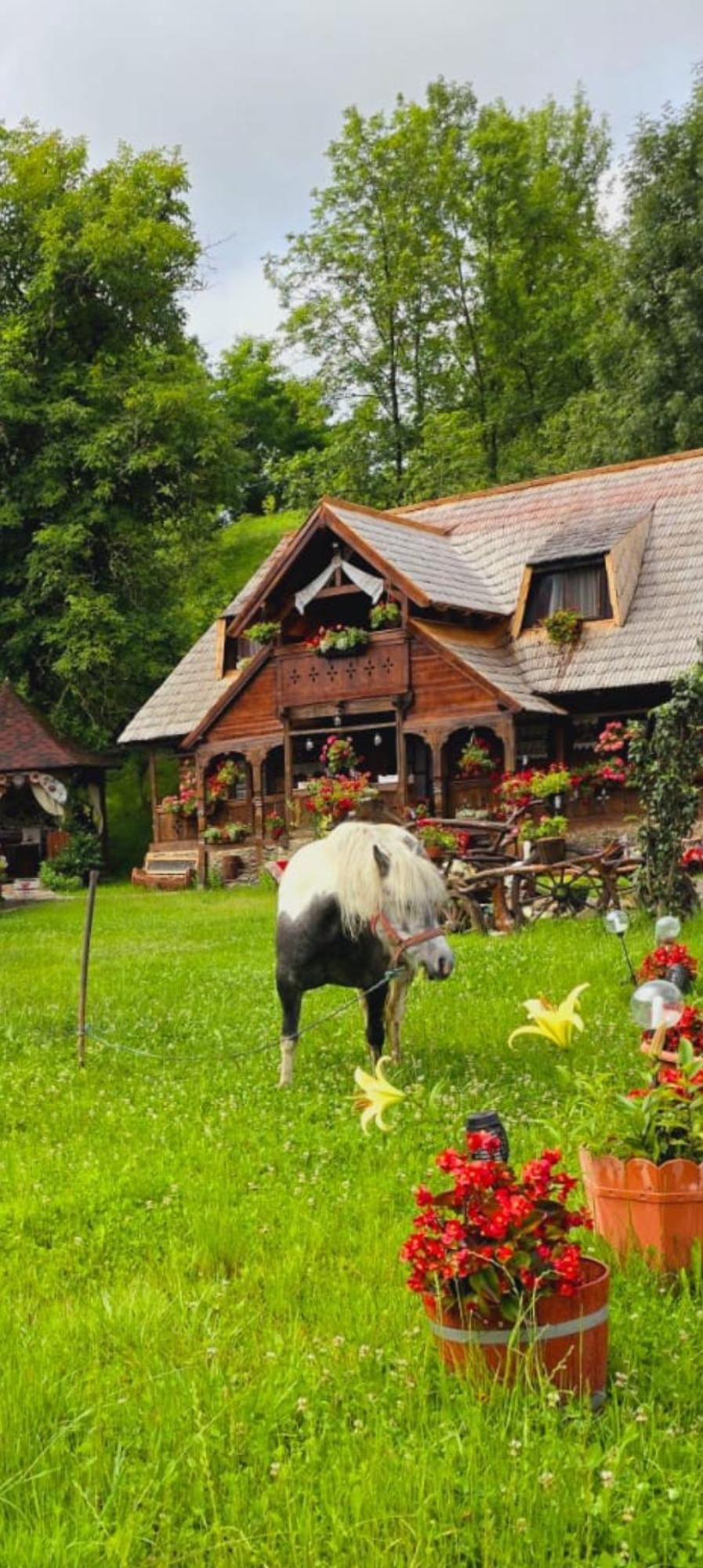Pensiunea Rustic Oncesti Exteriör bild