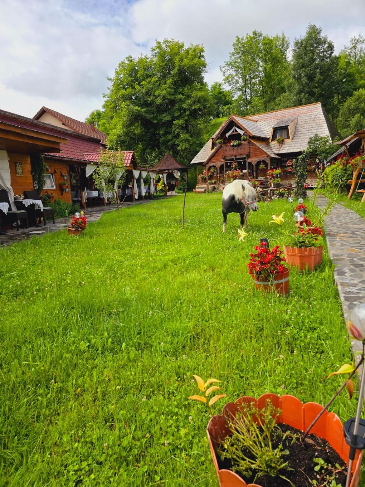 Pensiunea Rustic Oncesti Exteriör bild